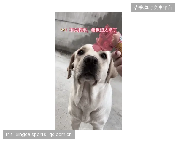 CR980了！狗胜，你真的让我哭死——如何在职场中“狗胜”并获得真正的爱与底气